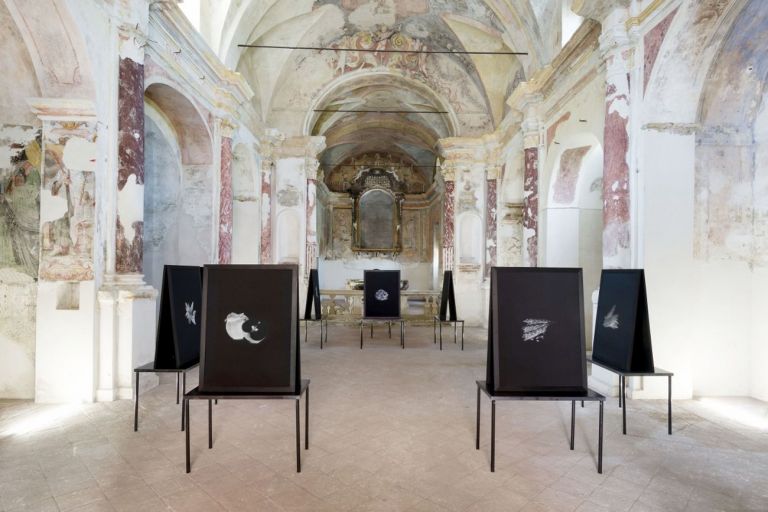 Cosimo Veneziano, Biomega Multiverso. Chiesa di San Sebastiano in Borgo, Tenuta Cucco, Serralunga d’Alba 2019, installation view. Photo Matilde Martino