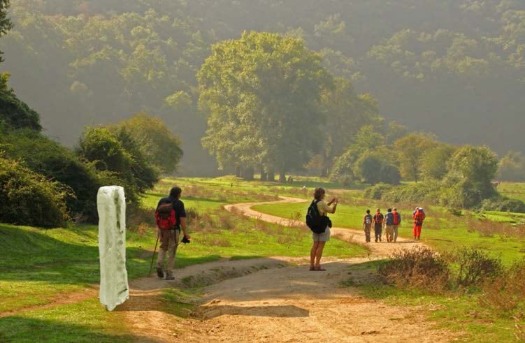 Francesco Arena, Monolite diviso e distante (113 km)