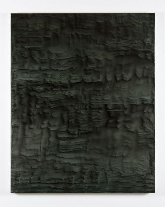 Giuseppe Adamo, PTNR 2, 2017, acrilico su tela, 100x80 cm