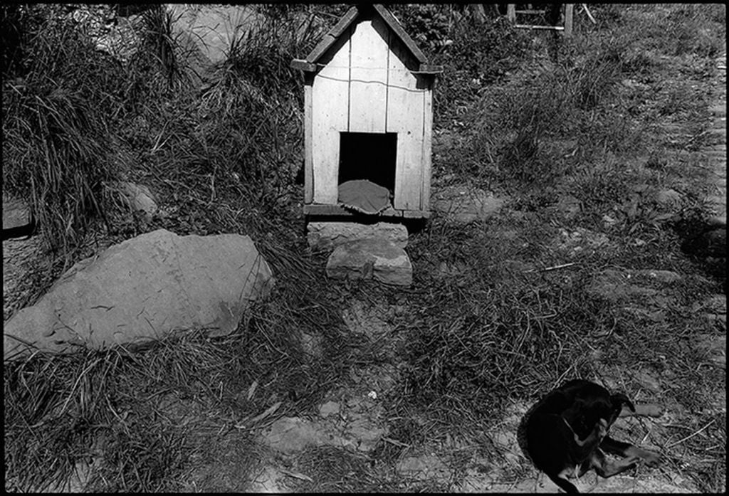 Guido Guidi, la fotografia e la Sardegna. In un libro