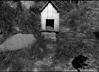 Guido Guidi. Image from In Sardegna (MACK, 2019). Courtesy artist and MACK