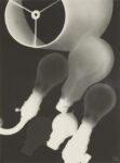 Man Ray. Electricité, 1931. Portfolio di 10 rayografie. Cm 52 x 42 x 2. Courtesy Collezione Fondazione MAST. © Man Ray Trust by SIAE 2019