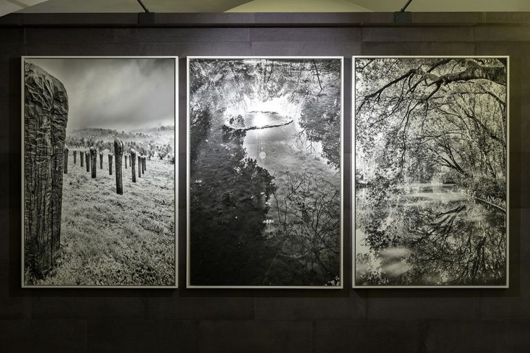 Marco Paoli. Hallelujah Toscana. Installation view at Museo degli Innocenti, Firenze 2019. Courtesy Museo degli Innocenti, Firenze