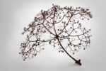 Michael Sherrill, Black Medicine, 2014. Collezione Fleur Bresler. Photo Scott Allen