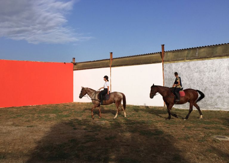 Thomas Kratz, “Colourchart for horses”, Hypermaremma 2019, Capalbio