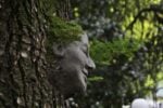 Scultura di fango su albero, Elena Candeo