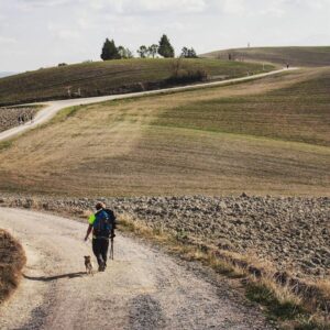 La Via Francigena candidata a Patrimonio Unesco. L’iter di preparazione delle Regioni italiane