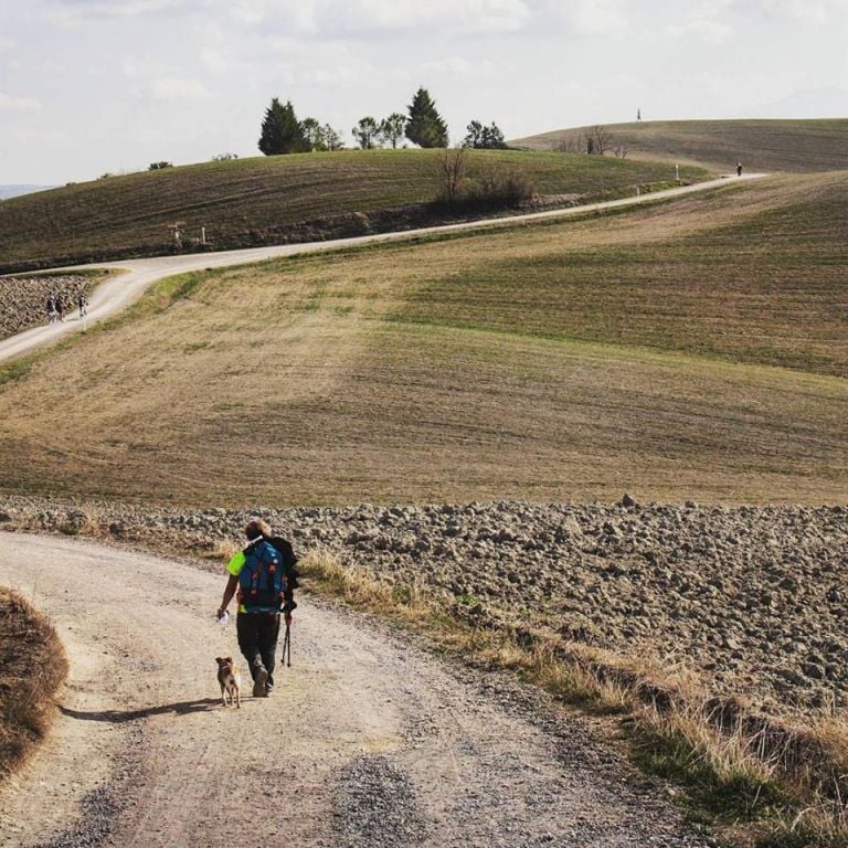 Via Francigena