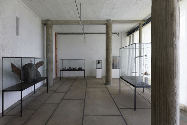 Salle vitrines, 2019 © Anselm Kiefer et Jean- Philippe Simard