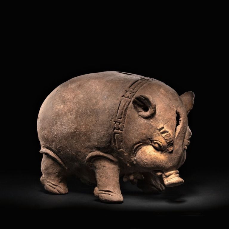 Cinghiale, Indonesia, XV-XVII sec. Terracotta, h. 19 cm. Photo Mauro Davoli