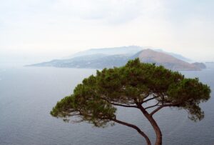 Ha aperto il Festival del Paesaggio 2019 a Capri e Anacapri. Le immagini dell’inaugurazione