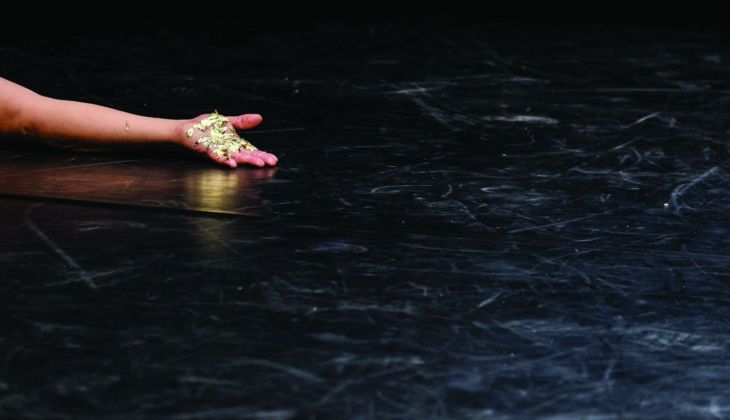 Elena Sgarbossa, DNA. appunti coreografici