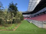 For Forest. Klagenfurt Stadium. Photo Claudia Zanfi