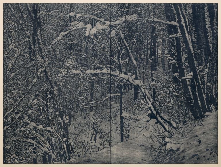 Franz Gertsch, Winter, 2016. Collezione privata, courtesy Galleri K, Oslo © Franz Gertsch. Photo Dominique Uldry