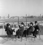 I Gufi all'Ippodromo di San Siro, 1966