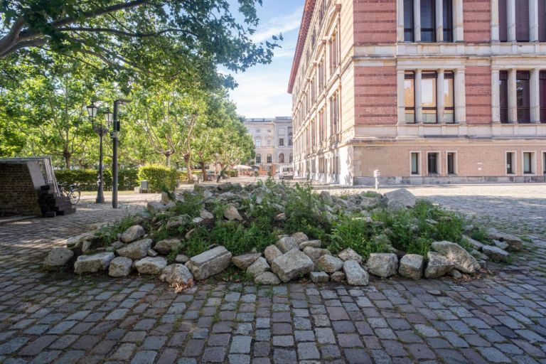 Maria Thereza Alves, Wake. Reintroducing the Obliterated Flora of the Spree River-bank, 2019. Photo Mathias Völzke. Courtesy the artist