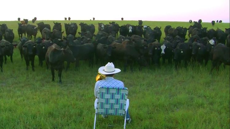 María Cañas, Al toro bravo échale vacas, 2015, still da video. Courtesy Istituto Cervantes, Roma