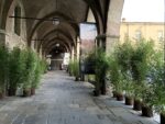 Piazza della Cittadella, Bergamo. Photo Claudia Zanfi