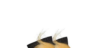 Trump Socks