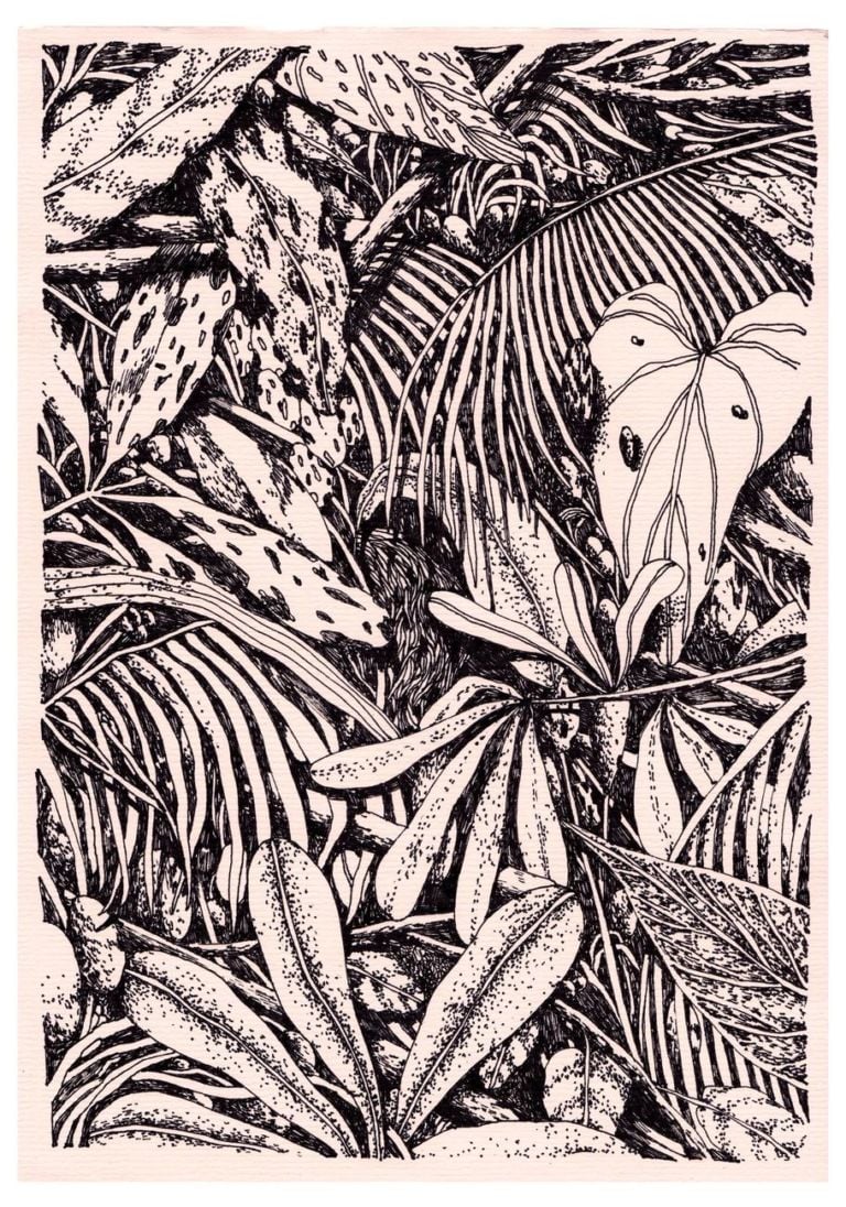 Tellas, Tropicalism, 2019