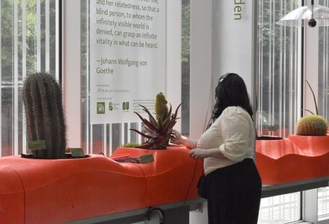 Visitors interact with living sound artworks in the Sonic Succulents installation by Adrienne Adar. Photograph by Elizabeth Peters