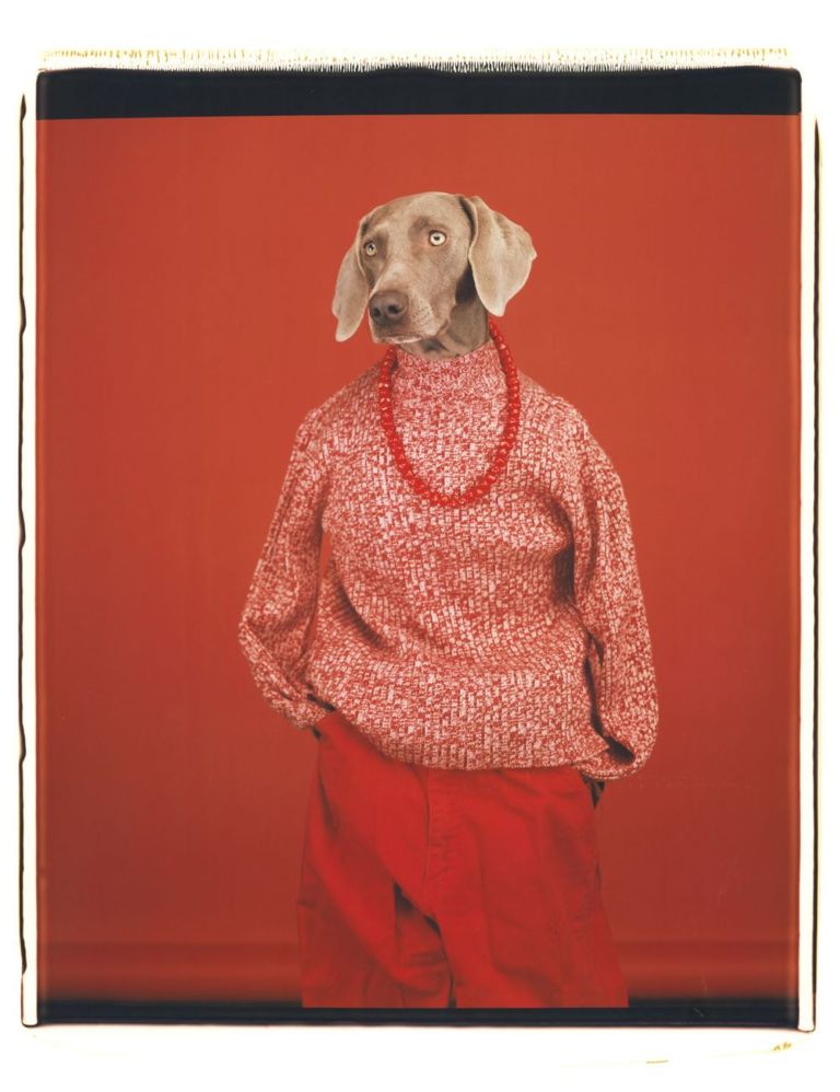 William Wegman, Casual, 2002. Proprietà dell’artista © William Wegman