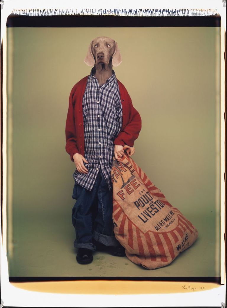 William Wegman, Farm Boy, 1996. Proprietà dell’artista © William Wegman