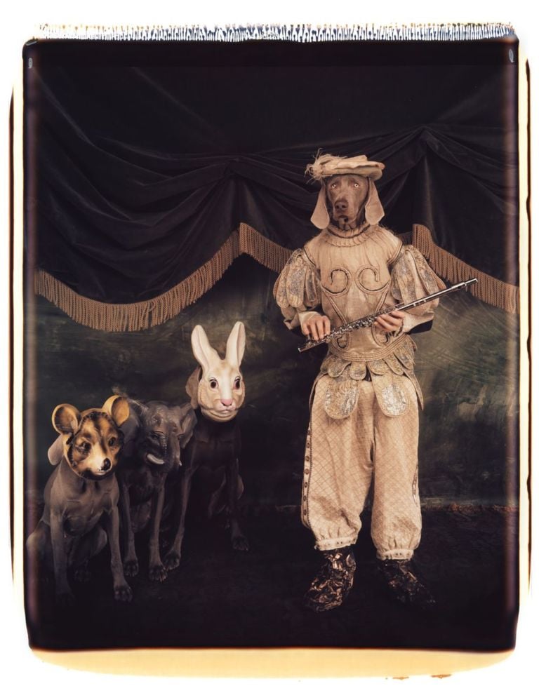 William Wegman, Tamino with Magic Flute, 1996. Proprietà dell’artista © William Wegman