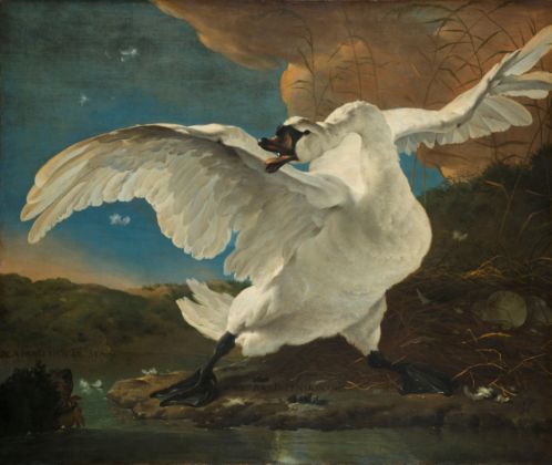Jan Asselijn, The Threatened Swan, c. 1650. Amsterdam, Rijksmuseum
