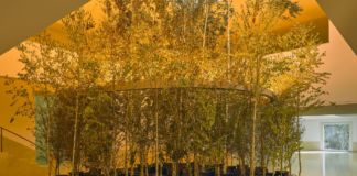 Olafur Eliasson e Günther Vogt, Yellow forest, 2017. Installation view at The Serralves Museum of Contemporary Art, 2019. Photo Filipe Braga. Courtesy of the artist; neugerriemschneider, Berlin; Tanya Bonakdar Gallery, New York / Los Angeles © 2019 Olafur Eliasson