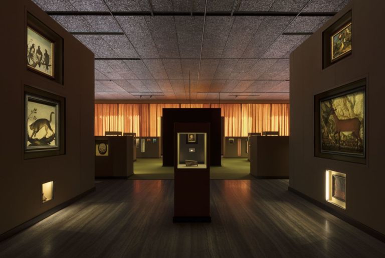 Il sarcofago di Spitzmaus e altri tesori. Exhibition view at Fondazione Prada, Milano 2019. Photo Andrea Rossetti. Courtesy Fondazione Prada