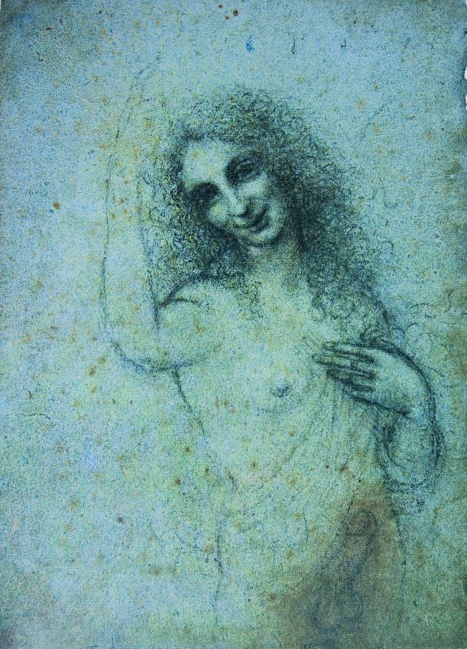 Leonardo da Vinci, Angelo Incarnato, 1513 15 ca., disegno a pietra nera su carta ruvida © Fondazione Rossana e Carlo Pedretti