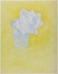 Piet Mondrian, Rosa in un bicchiere, post 1921 © Kunstmuseum Den Haag, L’Aja