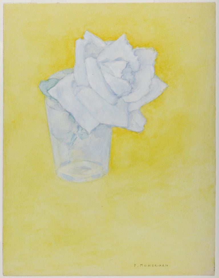 Piet Mondrian, Rosa in un bicchiere, post 1921 © Kunstmuseum Den Haag, L’Aja