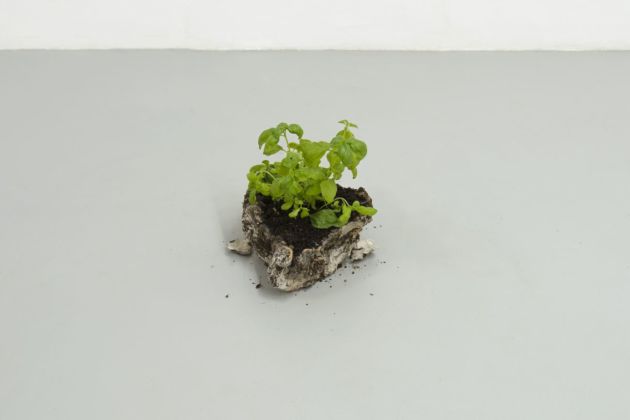 Rebecca Moccia, Progetto di opere future, 2012