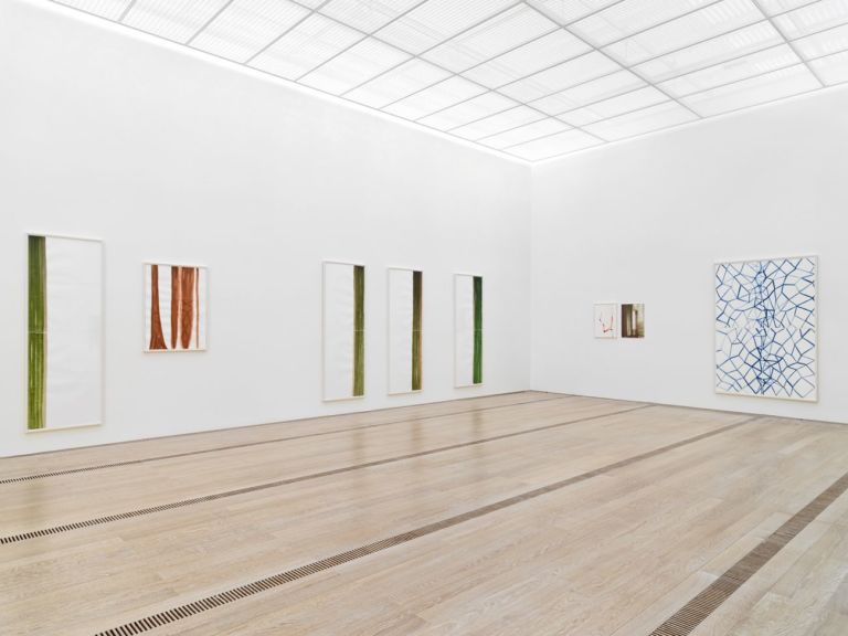 Resonating Spaces, installation view at Fondation Beyeler, Riehen Basel 2019. Photo Stefan Altenburger