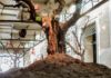 Romaeuropa Festival 2019. Pascale Marthine Tayou, Arbre de vie. Photo credits Cosimo Trimboli