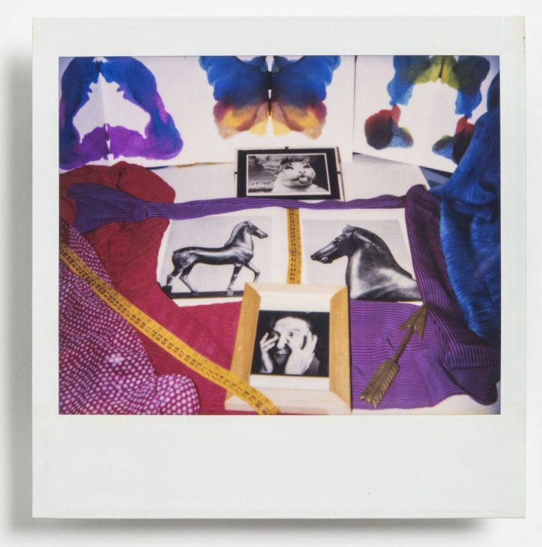 Rosa Foschi, Maramao quel gatto di Marcel 2, 1988. Courtesy Galleria Il Ponte. Photo Torquato Perissi