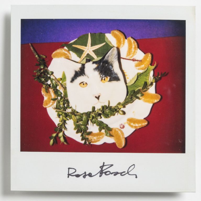 Rosa Foschi, Wit 4, 1996. Courtesy Galleria Il Ponte. Photo Torquato Perissi