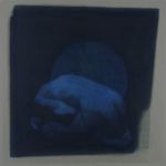 Simone Geraci, Echos, 2019