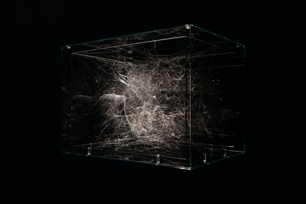 Más-que-humanas. Dominique Gonzalez-Foerster e Tomás Saraceno a Madrid