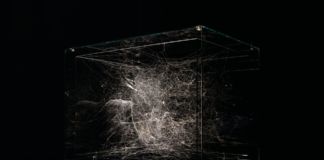 Tomás Saraceno, Hybrid semi-social solitary Instrument HD 74874, 2019. Thyssen-Bornemisza Art Contemporary Collection. Photo courtesy l’artista & Tanya Bonakdar Gallery, New York-Los Angeles