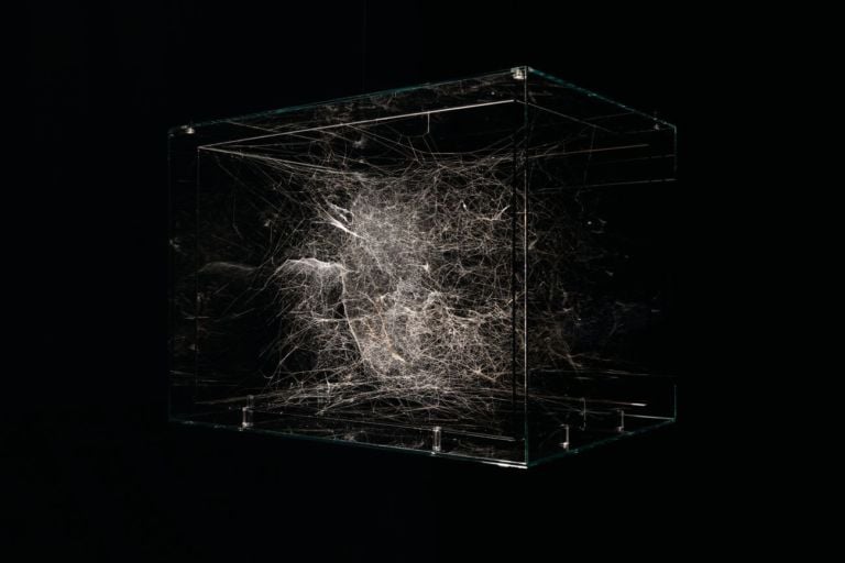 Tomás Saraceno, Hybrid semi-social solitary Instrument HD 74874, 2019. Thyssen-Bornemisza Art Contemporary Collection. Photo courtesy l’artista & Tanya Bonakdar Gallery, New York-Los Angeles