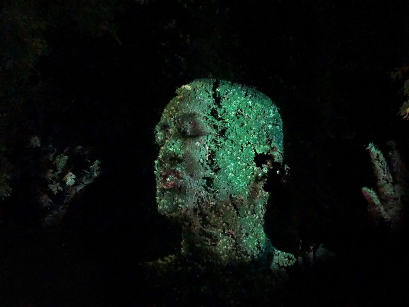 Tony Oursler, Eclipse, 2019. Photo Fondation Cartier