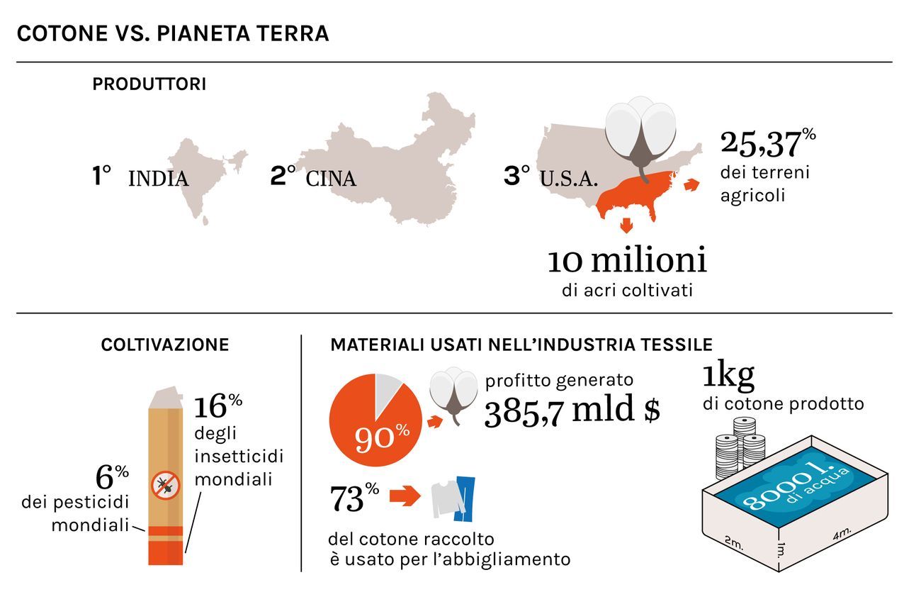 Cotone vs. Pianeta Terra. Infografica © Artribune Magazine