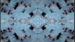 Liliana Orbach, Preludio de una danza, 2005, video still