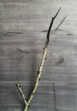 Linda Carrara, Betulla, 2019, olio e grafite su lino, cm 160x110