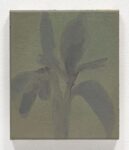 Marta Ravasi, Iris, 2019, olio su tela, 20 x 25cm. Photo Cosimo FIlippini
