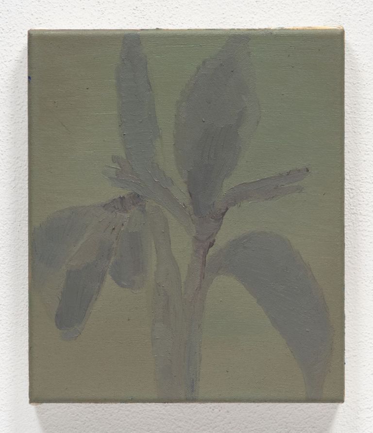 Marta Ravasi, Iris, 2019, olio su tela, 20 x 25cm. Photo Cosimo FIlippini