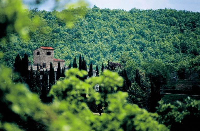 Azienda Nittardi